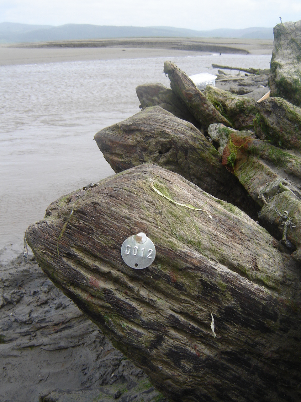 Exposed timbers were labeled with metal identification tags and recorded using a total station